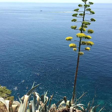 White & Co And Dubrovnik