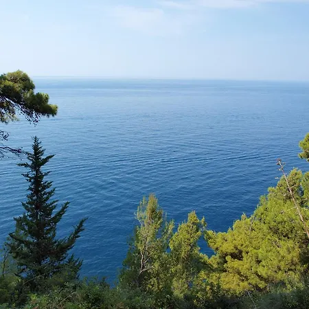 White & Co And * Dubrovnik