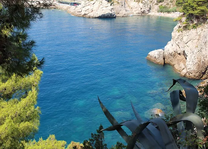 White & Co And Ντουμπρόβνικ