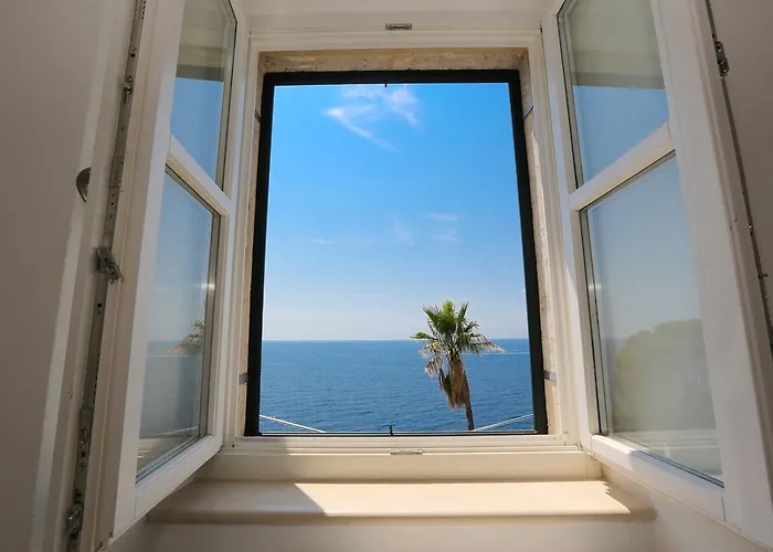 White & Co And * Ντουμπρόβνικ