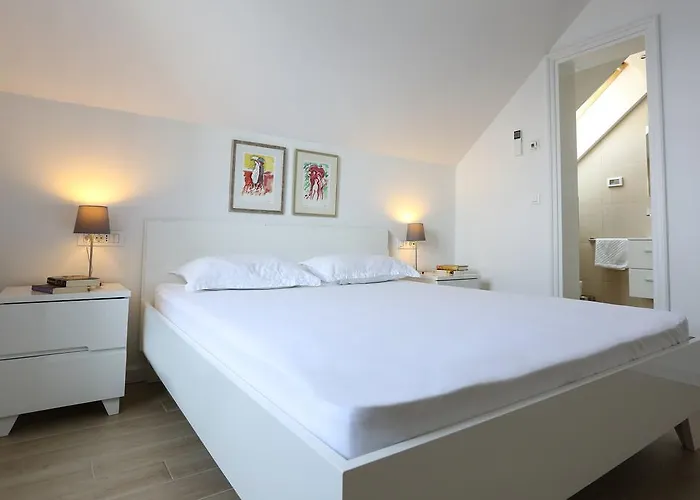 White & Co And دوبروفينك