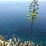 White & Co And Dubrovnik