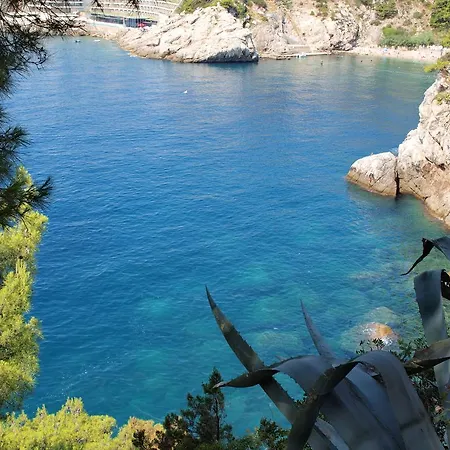 White & Co And Dubrovnik